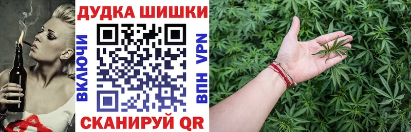Где продают наркотики Жиздра МАРИХУАНА  Псилоцибиновые грибы  ГАШ  МЕФ  APVP 