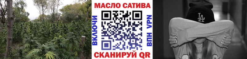 магазин  наркотиков  Жиздра  darknet клад  Дистиллят ТГК жижа 