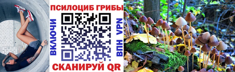 блэк спрут tor  наркошоп  Жиздра  Псилоцибиновые грибы прущие грибы 
